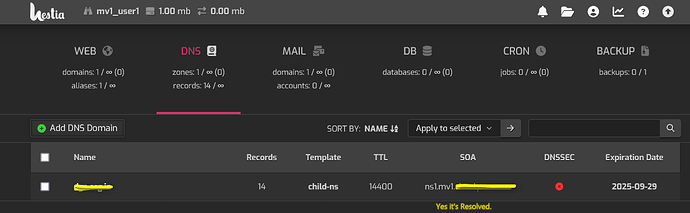 Screenshot 2024-09-29 at 22-08-21 DNS-mv1-HestiaControlPanel