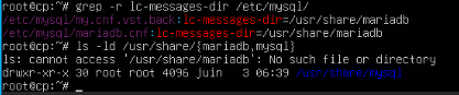 vnc