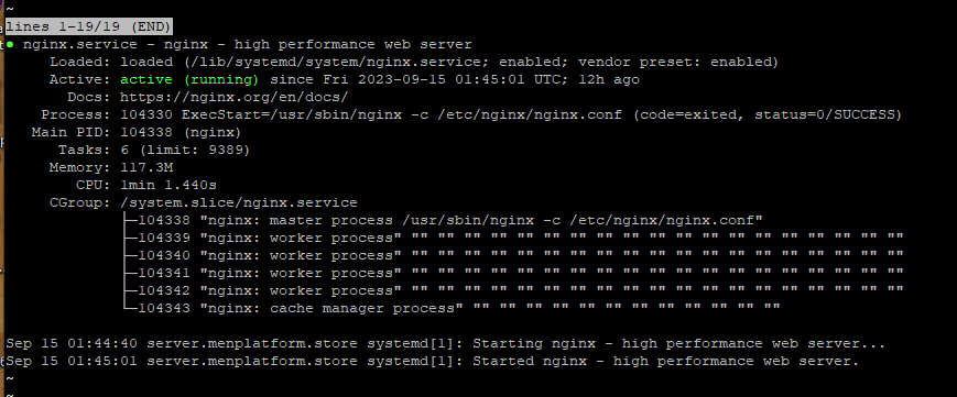 Unit Nginx.service not found - Hestia Control Panel - Discourse