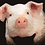 PiggyPiglet